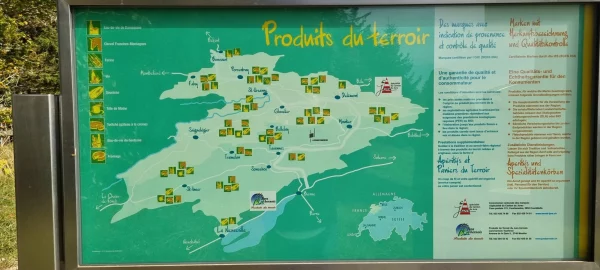 Des animations tout au long de l’été!​