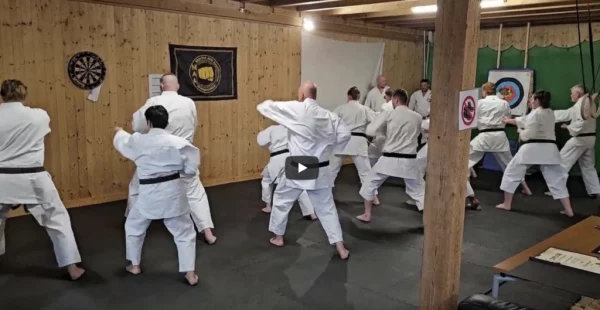 Festival Interclub de Suisse au Miramont – Seishin Ryu Jitsu