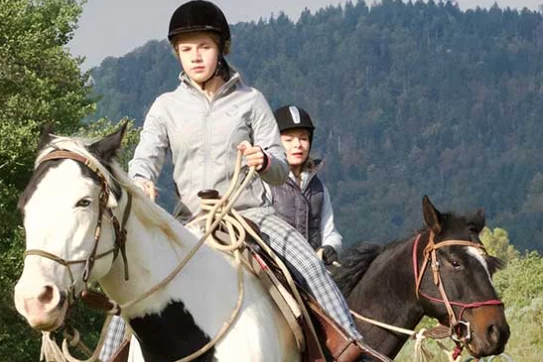 Nos chevaux